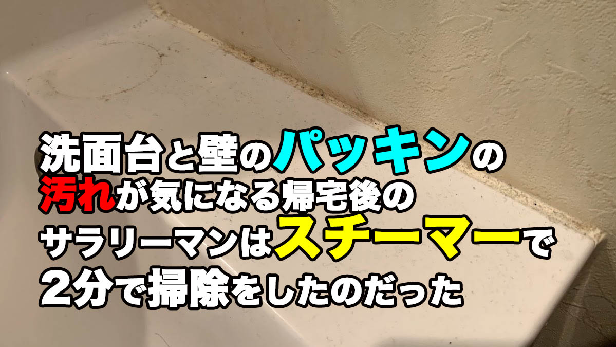 洗面台と壁の隙間のパッキン部分は意外とゴミが溜まりがち 帰宅後にサクッとスチーマーで掃除 Megazin