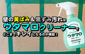 浴室床の黒ずみ汚れ落とし対決 4つの洗剤で1番効率 効果的なのは Megazin
