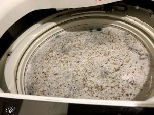 非塩素系洗たく槽クリーナーの効果