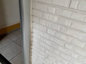 カインズのブラッシングスポンジで玄関と外壁を掃除