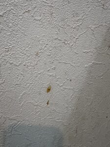 ガスレンジ周りの壁紙　に付着した油汚れを落とす